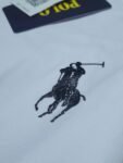 Camisa Polo G Peruana 40.1 com Elastano