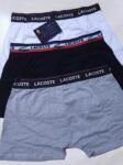cueca-lacoste-g-01