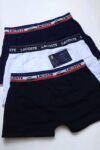 cueca-lacoste04